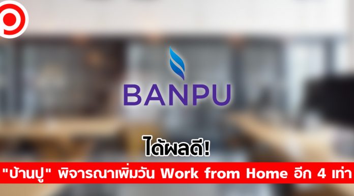 เมื่อ Work from Home ได้ผลดี “บ้านปู” กำลังพิจารณาเพิ่มวันทำงานจากบ้านอีก 4 เท่า!