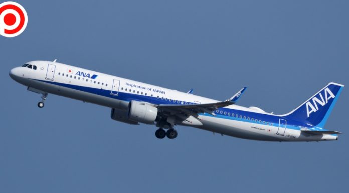 สายการบิน ANA ขาดทุน 4,800 ล้านดอลลาร์ มากสุดเป็นประวัติการณ์ตั้งแต่ก่อตั้ง ana