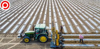 สหรัฐฯ เตรียมแบนสินค้าที่ใช้ “ฝ้าย” จากซินเจียง โจมตีจีนละเมิดสิทธิมนุษยชนชาวอุยกูร์