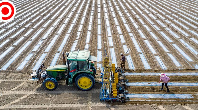 สหรัฐฯ เตรียมแบนสินค้าที่ใช้ “ฝ้าย” จากซินเจียง โจมตีจีนละเมิดสิทธิมนุษยชนชาวอุยกูร์