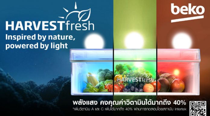 Beko แนะเช็คลิสต์เลือกตู้เย็นให้คุ้มค่าตอบโจทย์ไลฟ์สไตล์คนรุ่นใหม่