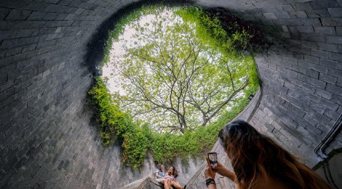 สัมผัสอ้อมกอดแห่งธรรมชาติ กับ 10 พื้นที่สีเขียวในสิงคโปร์