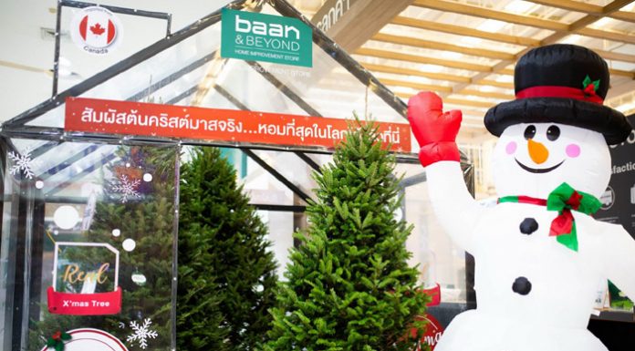 ต้อนรับเทศกาลแห่งความสุขก่อนใครบ้านแอนด์บียอนด์ และ ไทวัสดุพร้อมเปิดให้จองแล้ววันนี้!!! กับต้นคริสต์มาสจริงสายพันธ์ที่หอมที่สุดในโลก ส่งตรงจากประเทศแคนาดา