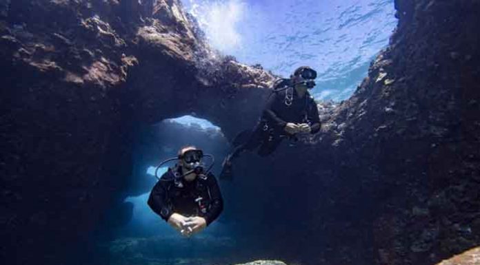 GARMIN เปิดตัว DESCENT MK2 และ DESCENT T1 TRANSMITTER เพิ่ม SubWave Sonar ครบทุกไลฟ์สไตล์ ปลอดภัย คู่ใจนักดำน้ำ