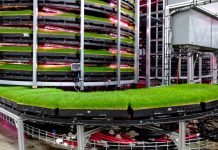 รู้จักเทคโนโลยี “สวนแนวตั้ง” ปลูกพืชเลี้ยงสัตว์ในพื้นที่ปิด แก้ปัญหาเผาป่าทำเกษตร