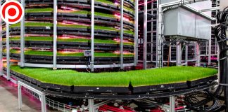 รู้จักเทคโนโลยี “สวนแนวตั้ง” ปลูกพืชเลี้ยงสัตว์ในพื้นที่ปิด แก้ปัญหาเผาป่าทำเกษตร