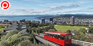 คนอเมริกันแห่ย้ายออกนอกประเทศ หนีการเมือง-COVID-19 “นิวซีแลนด์” จุดหมายยอดฮิต