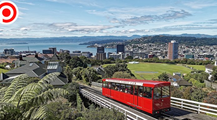 คนอเมริกันแห่ย้ายออกนอกประเทศ หนีการเมือง-COVID-19 “นิวซีแลนด์” จุดหมายยอดฮิต