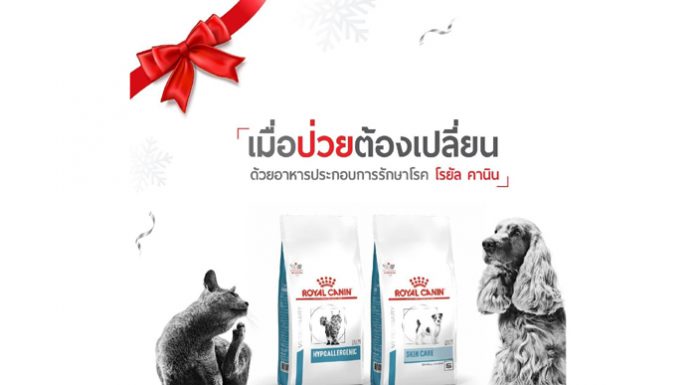 “โรยัล คานิน คลับ” แอปสำหรับคนรักสุนัขและแมวประสบความสำเร็จในการขยายฐานให้ความรู้ทางโภชนาการในการดูแลน้องหมาน้องแมวอย่างถูกวิธี