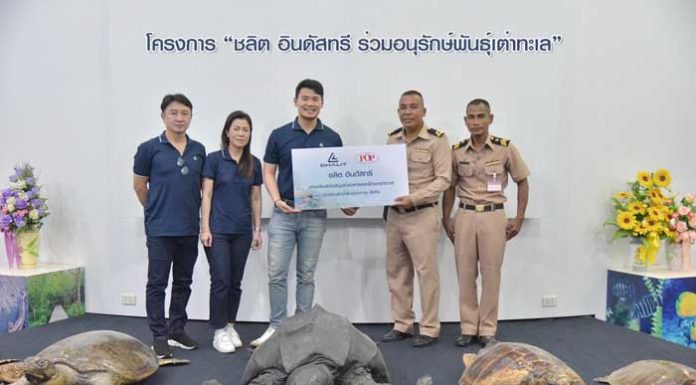 “ชลิต อินดัสทรีฯ” ชวนกันทำดีส่งท้ายปี ร่วมอนุรักษ์เต่าทะเล สัตหีบ จ.ชลบุรี