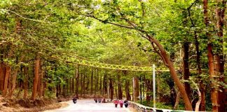 “อินเดีย” สร้างสะพานสำหรับ “สัตว์เล็ก-สัตว์เลื้อยคลาน” ลดปัญหาถูกรถชน/ทับตาย