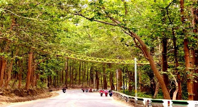 “อินเดีย” สร้างสะพานสำหรับ “สัตว์เล็ก-สัตว์เลื้อยคลาน” ลดปัญหาถูกรถชน/ทับตาย