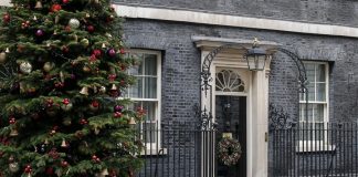 สหราชอาณาจักรเตรียมออกกฎหมาย “ฝังไมโครชิป” ในแมวเลี้ยง ป้องกันแมวหาย