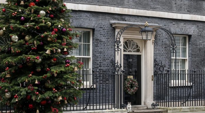 สหราชอาณาจักรเตรียมออกกฎหมาย “ฝังไมโครชิป” ในแมวเลี้ยง ป้องกันแมวหาย