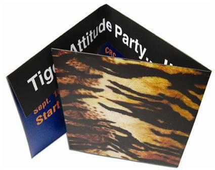 Tiger Attitude Party…It's what's inside