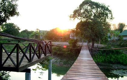 สมุนไพร สมาธิ การพื้นฟูร่างกายและจิตใจ