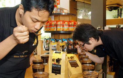 ร่วมค้นหาที่สุดแห่งเมล็ดกาแฟชั้นเลิศ หายาก ของโลก