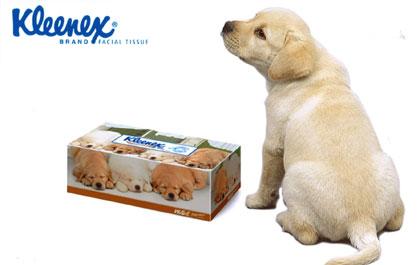 คิมเบอร์ลี่ย์-คล๊าค ปรับโฉม ‘คลีเน็กซ์® เอ็กซ์เพรสชั่นส์’ เอาใจนักสะสม