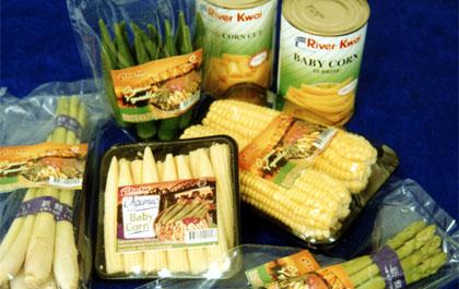 ริเวอร์แควฯจับมือจ.สุรินทร์สร้างพันธมิตรเกษตรอินทรีย์