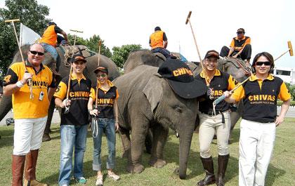 การแข่งขันกีฬาโปโลบนหลังช้างนัดพิเศษชิงถ้วยชีวาส รีกัล