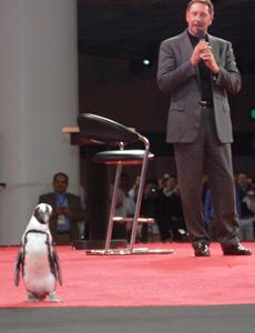 ออราเคิลเปิดตัวบริการสนับสนุนระดับองค์กรสำหรับลีนุกซ์