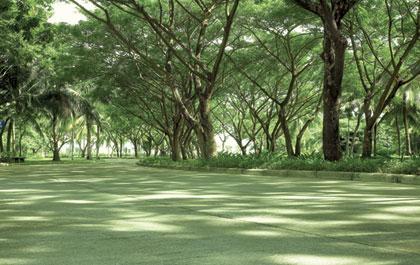 แสนสิริเปิดขาย“Greenside by Sansiri” ที่ดินเปล่าริมสนามกอล์ฟ