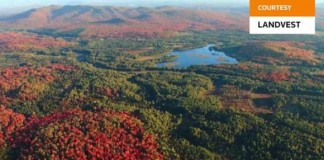 แจ็ค หม่า ซื้อสวนป่าฯ ในสหรัฐฯ มูลค่าเกือบ 800 ล้านฯ