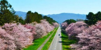 ฮอกไกโดขึ้นแท่นสถานที่ท่องเที่ยวยอดฮิต คนไทยไปเพิ่ม 30%